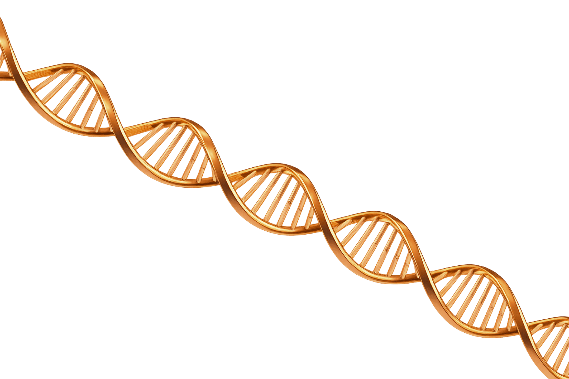 DNA double helix